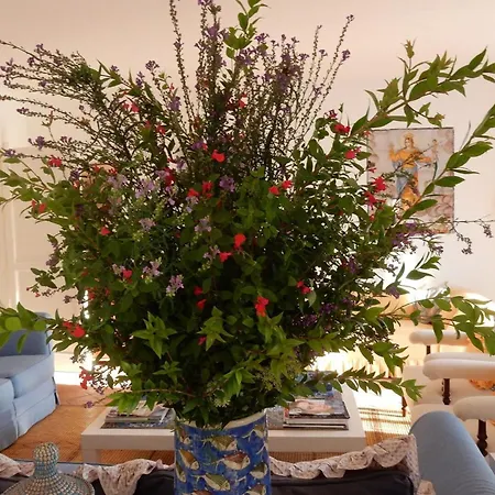 Serini * Πιάνο ντι Σορέντο